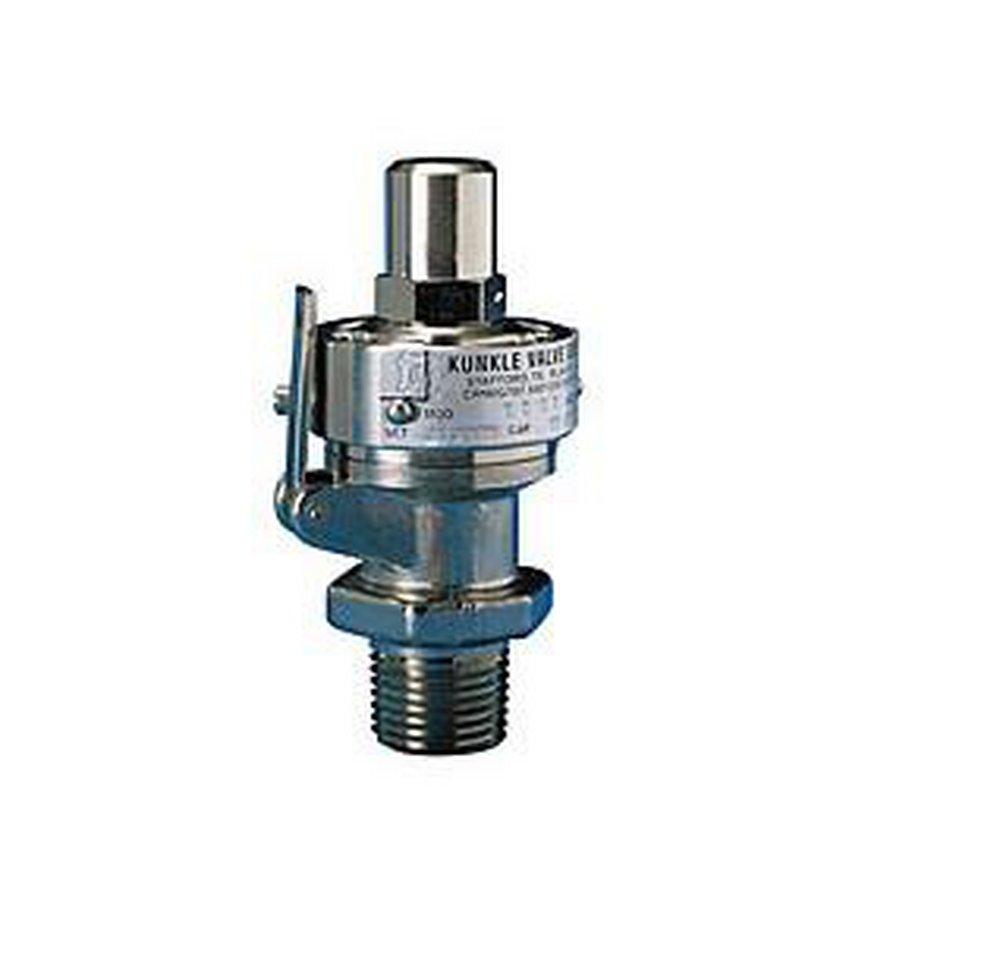Kunkle Valve Bronze NPT 406 Relief Valve 