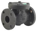 4 in. Cast Iron Flanged Check Valve