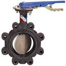 4 in. Ductile Iron Fluoroelastomer Locking Lever Handle Butterfly Valve