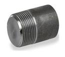 Threaded 3000# 304 Stainless Steel Round Head Plug 