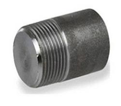 1/2 in. Threaded 3000# 304 Stainless Steel Round Head Plug