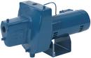 Sta-Rite Industries Blue 1 in. Shallow Well Jet Pump 