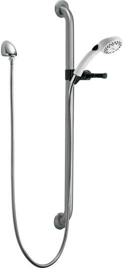 Dual Function Hand Shower in Stainless with White
