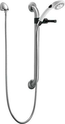 Dual Function Hand Shower in Stainless with White