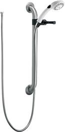 Dual Function Hand Shower in Brilliance® Stainless