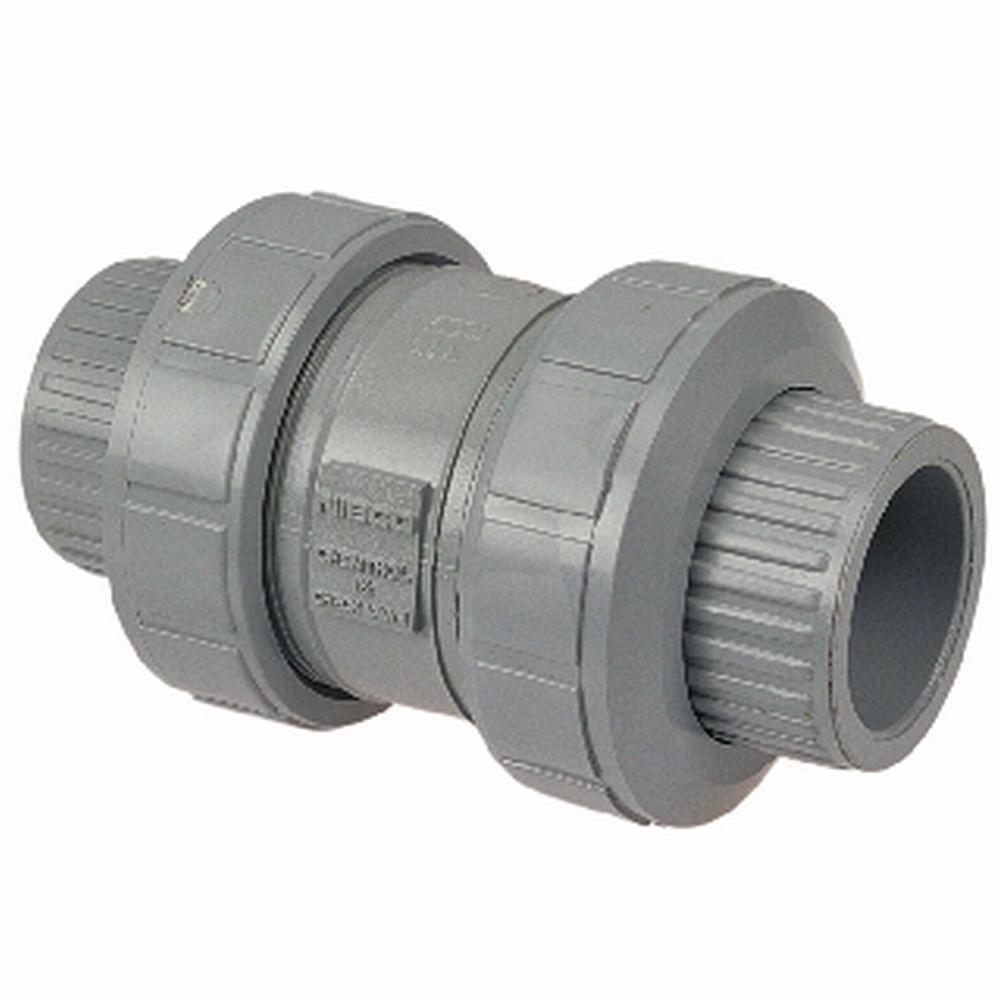 Chemtrol Light Grey Plastic Socket Weld x Threaded Ball Check Valve 