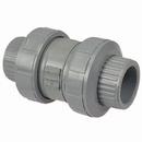 Chemtrol Light Grey Plastic Socket Weld x Threaded Ball Check Valve 
