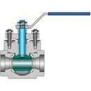 1/2 CS Stainless Steel 1480# Buttweld Top Entry Full Port BV 