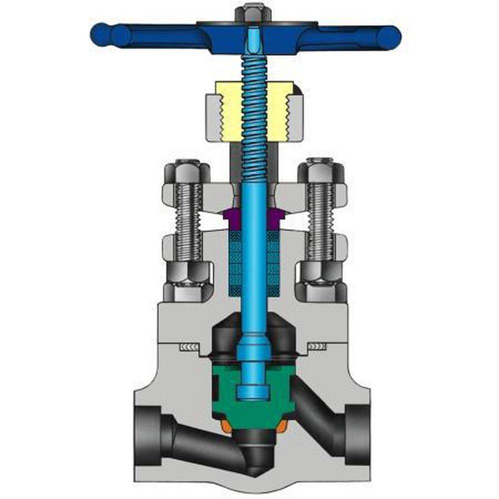 Velan Valve Carbon Steel Socket Weld Outside Globe Valve 