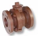 2 in. Ductile Iron Reduced Port Flanged 125# Ball Valve