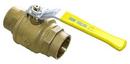 FNW&reg; DZR Brass Full Port Sweat 600# Ball Valve