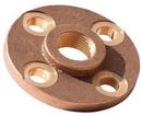 2-1/2 in. FNPT 150# Brass Flange