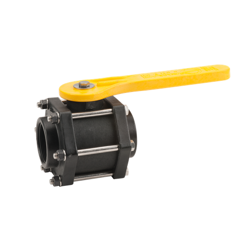 Banjo Plastic Full Port FNPT 100# Ball Valve 