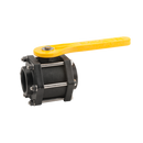 Banjo Plastic Full Port FNPT 100# Ball Valve 