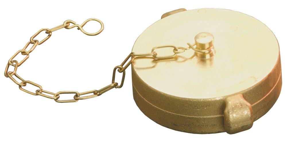 Dixon Valve & Coupling NST Brass Pin Lug Cap with Chain 
