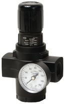 Dixon Valve & Coupling Regulator with Gauge 
