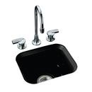 KOHLER Black Black&trade; 15 x 12-3/8 in. Undermount Cast Iron Bar Sink 