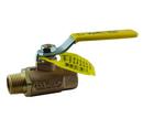 1/2 in. Bronze Standard Port MNPT x FNPT 600# Ball Valve