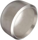 8 in. Schedule 40 304L Stainless Steel Cap