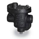 Spirax Sarco 3/4 in. 450F Steam Trap 