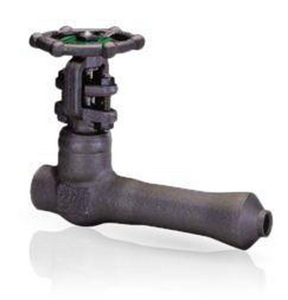 Bonney Forge Forged Steel Standard Port Threaded Gate Valve 