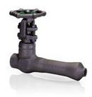 3/4 in. Forged Steel Reduced Port Threaded Gate Valve