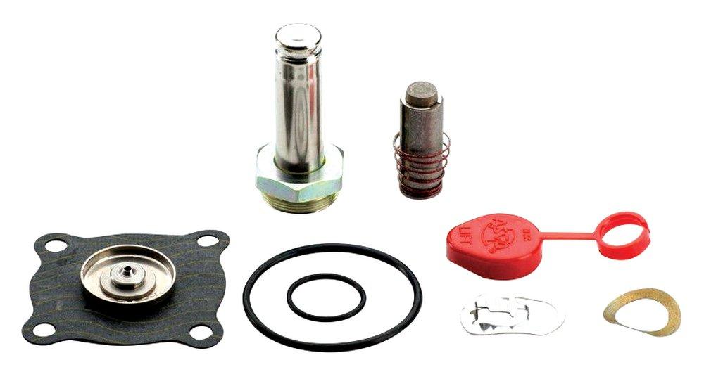 Valve Repair Kit 