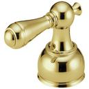 Delta Faucet Polished Brass 7 in. Metal Handle Kit 