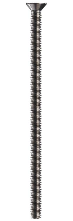 4 in. Cleanout Cover Screw