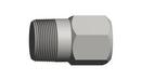 1/2 in. 3000# Threaded Bull Plug Forged Steel A105