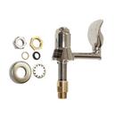 Haws® Polished Chrome Lever Handle Bubbler 