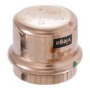 Viega Press 600 psi Global Copper Cap 