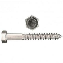 3/8 in. x 1 in. Hex Head Lag Screw