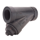 Legend Valve & Fitting Wye Cast Iron FNPT 20 Mesh Valve Strainer 