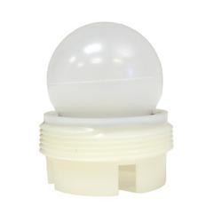2 in. Plastic MIP Backwater Valve