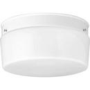 Progress Lighting White 5-3/8 in. 75 W 2-Light Steel Medium Flush Mount Close-to-Ceiling Fixture Light 