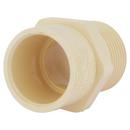 Cream MNPT x Socket Weld CPVC Adapter 