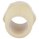 Cream MNPT x Socket Weld CPVC Adapter 