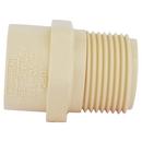 Cream CTS CPVC Male Adapter 