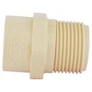 Cream MNPT x Socket Weld CPVC Adapter 