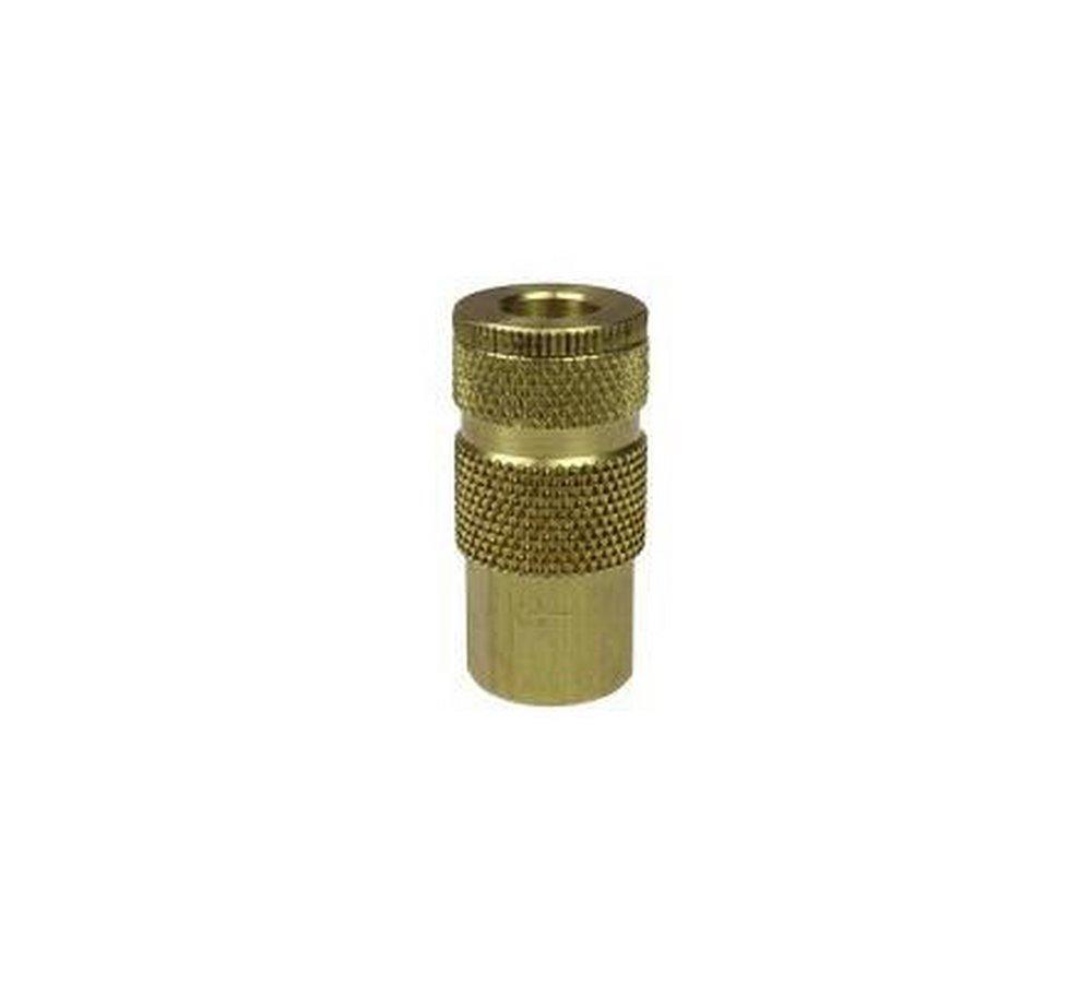Coilhose Pneumatics FNPT Brass Coupling 