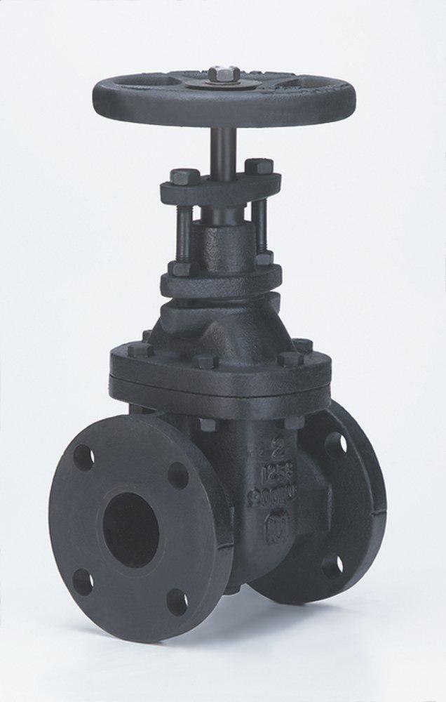 Milwaukee Valve Cast Iron Flanged Gate Valve 