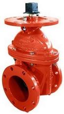 2 in. Mechanical Joint Cast Iron Open Left Resilient Wedge Gate Valve (Less Accessories)