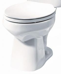 Elongated Toilet Bowl in White