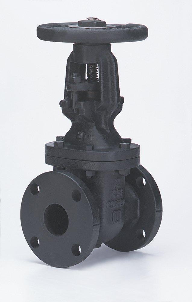 Milwaukee Valve Cast Iron Flanged Gate Valve 