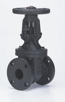 Milwaukee Valve Cast Iron Flanged Gate Valve 