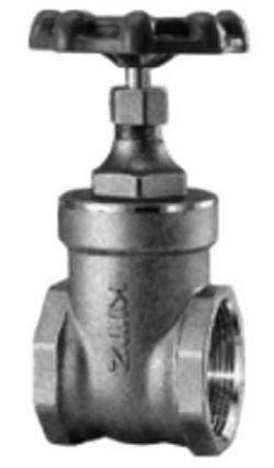 2 in. Forged Brass FNPT Gate Valve