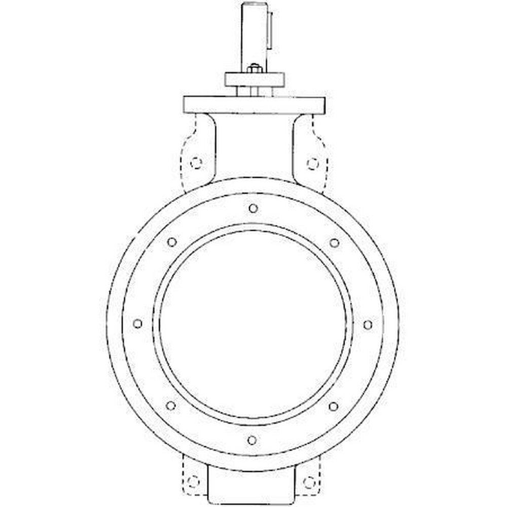 Crane Process Flow Technologies Carbon Steel Wafer RTFE Lever Handle Butterfly Valve 