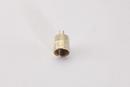 C&D Valve Flare Brass Cap (Pack of 6) 