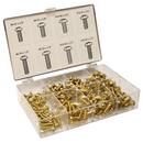 Jones Stephens Brass 200-Piece Bibb Screw Kit 